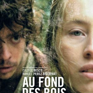 Foto No Fundo da Floresta