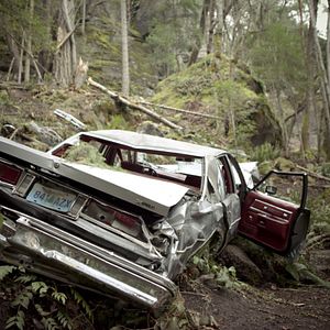 Foto Armadilha do Destino