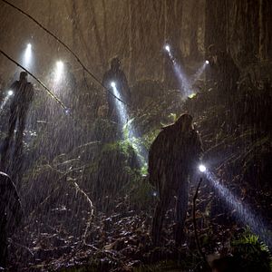 Foto Armadilha do Destino