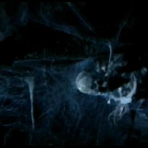 Foto Pavor na Cidade dos Zumbis