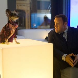 Foto O Zelador Animal