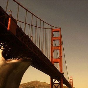 Foto Mega Shark vs Crocosaurus