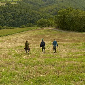 Foto Paul Bartel (II)