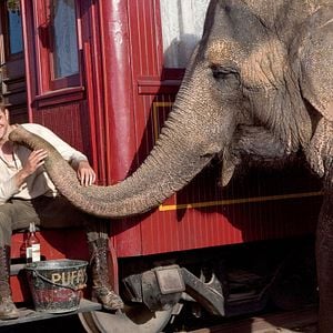 Foto Água para Elefantes