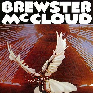 Foto Voar é com os Pássaros