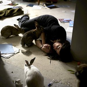 Foto Sentidos do Amor