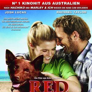 Foto Red Dog
