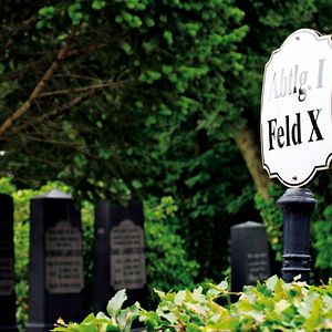 Foto No paraíso, sob o solo