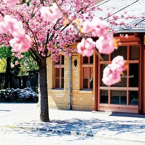 Foto No paraíso, sob o solo