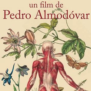 Foto A Pele que Habito