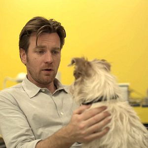 Foto Toda Forma de Amor