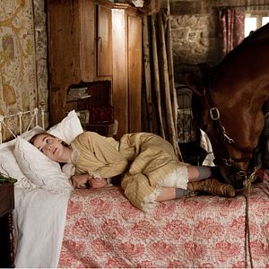 Foto Cavalo de Guerra