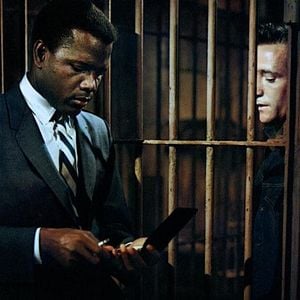 Foto No Calor da Noite