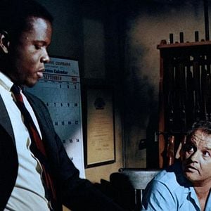 Foto No Calor da Noite