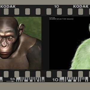 Foto Planeta dos Macacos - A Origem