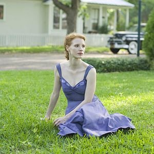 Foto A Árvore da Vida