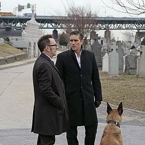 Foto Person Of Interest