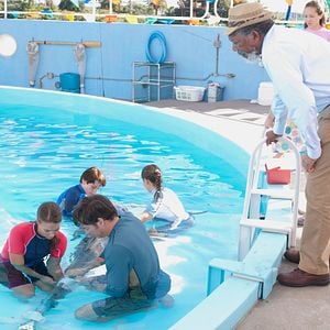 Foto Winter, o Golfinho