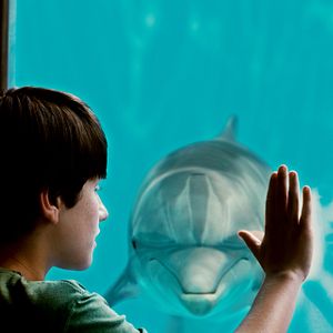 Foto Winter, o Golfinho