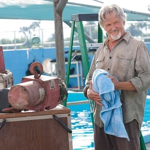 Foto Winter, o Golfinho