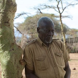 Foto Uma Lição de Vida