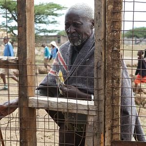 Foto Uma Lição de Vida