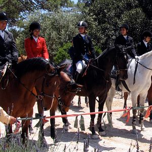 Foto Il Commissario Montalbano