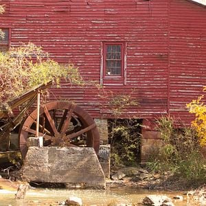 Foto A Estranha Vida de Timothy Green