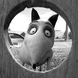 Foto Frankenweenie
