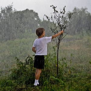 Foto Terra Esquecida