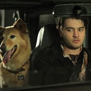 Foto Chase Williamson