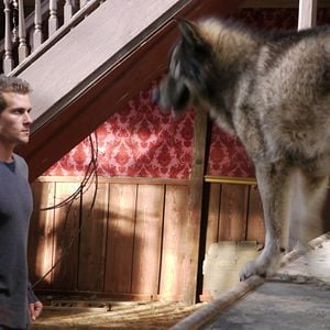 Foto Terra dos Lobos