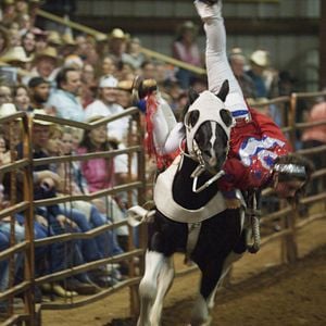 Foto Arena dos Sonhos