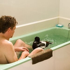 Foto Um Cupido Caiu Do Céu