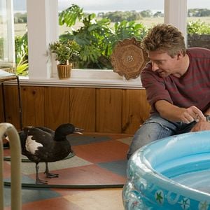 Foto Um Cupido Caiu Do Céu