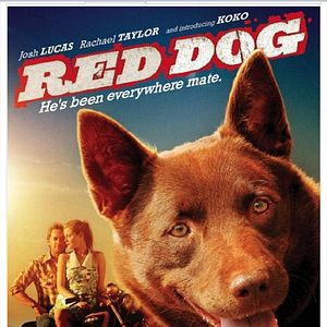 Foto Red Dog