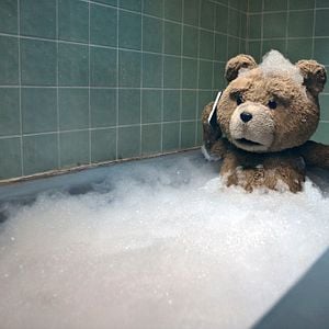 Foto Ted