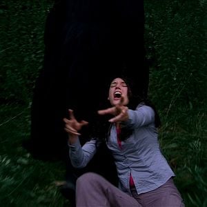 Foto Don't Go in the Woods