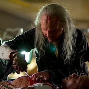 Foto Pânico na Floresta 4