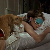 Foto Bonequinha de Luxo