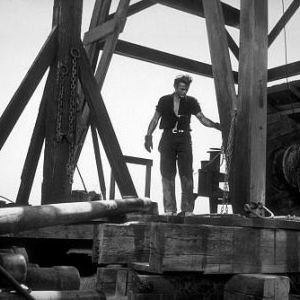 Foto Assim Caminha a Humanidade