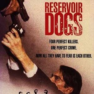 Foto Cães de Aluguel