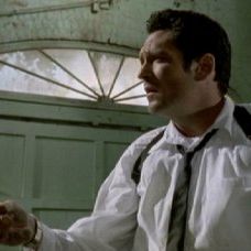 Foto Cães de Aluguel