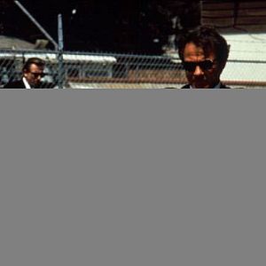 Foto Cães de Aluguel