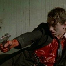 Foto Cães de Aluguel