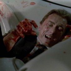 Foto Cães de Aluguel