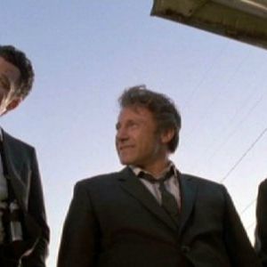 Foto Cães de Aluguel