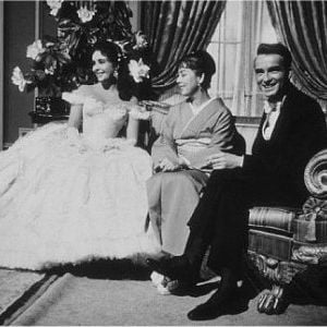 Foto A Árvore da Vida