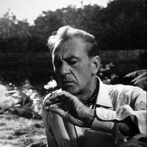 Foto Um Amor na Tarde