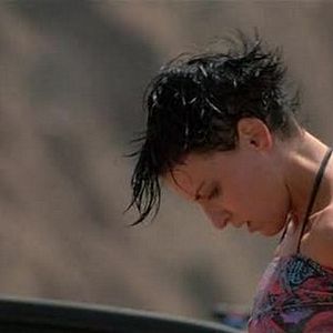 Foto Caçadores De Emoção